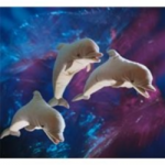 Stuffed Plush Dolphin Puppet