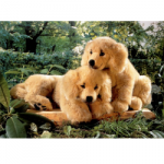 Plush Golden Retriever Puppies
