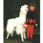 Alpaca Wool Handmade Stuffed Cria