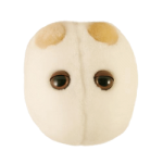 Stuffed Beer Yeast Microbe