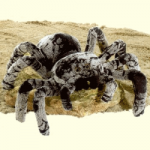 Plush Tarantula by Fiesta