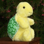Adorable and Plush Terri the Turtle
